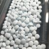 Molly Pills