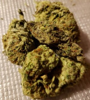 AL Alien OG