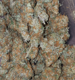 AMNESIA-HAZE.jpg Amnesia Haze