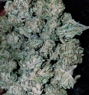 Ak-47.jpg AK-47