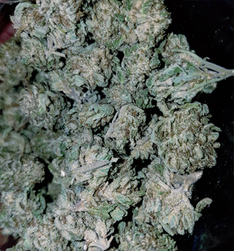 Ak-47.jpg AK-47