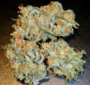 Aurora-Weed-Strain-AU Buy Aurora Indica
