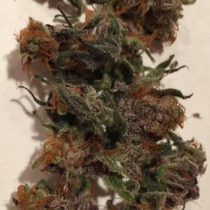 alaska Alaskan Thunder Fuck