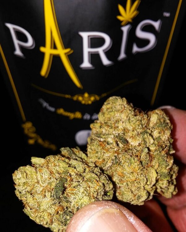paris-OG Paris OG